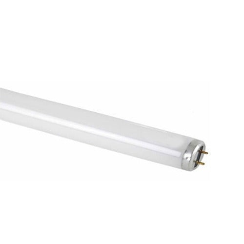 Fluorescent Daylight Bulb