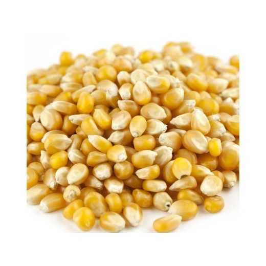 Mushroom Caramel Sweet Popcorn - 50Lb