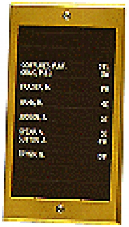 10 Name Directory Brushd Brass - VIP Series by Alpha Communications