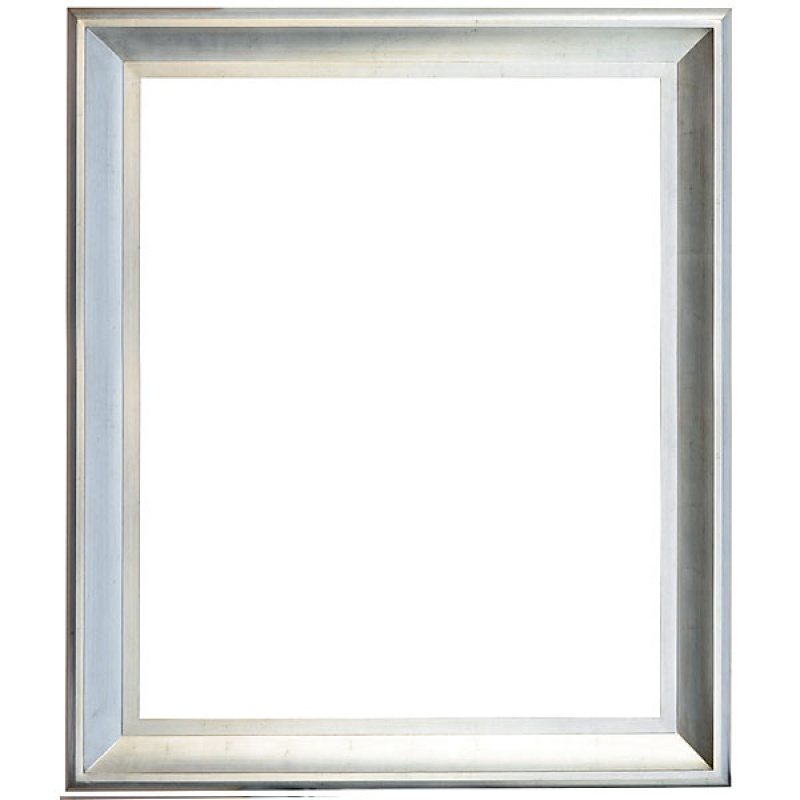 The Sterling Frame 48X60 Silver With Champagne Wash