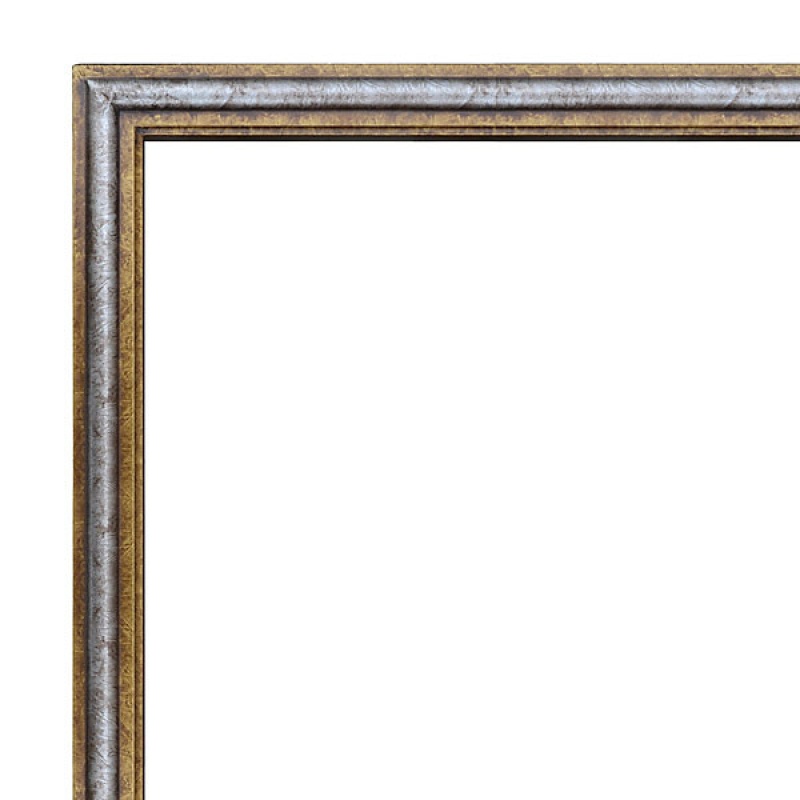 Aria Frame 30X40 Silver Gold