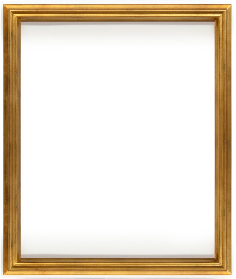 Simple Elegance Frame 20 x 24 Soft Gold