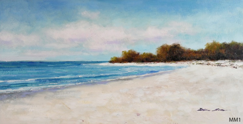 Handpainted Original Oil C12x241293