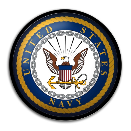 Us Navy: Modern Disc Wall Sign
