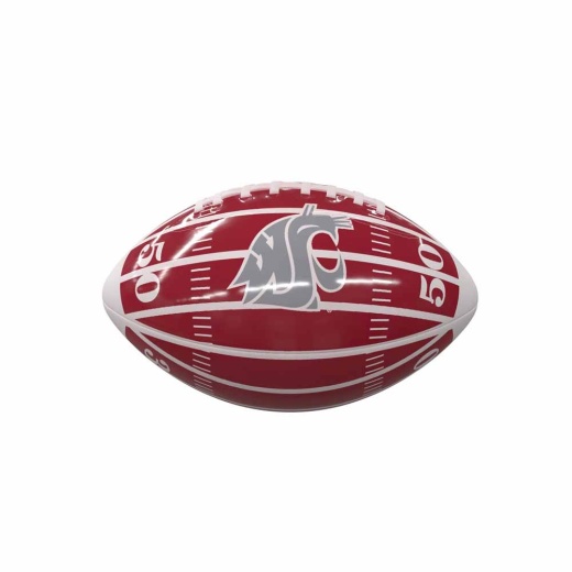 Wa State Field Minisize Glossy Football