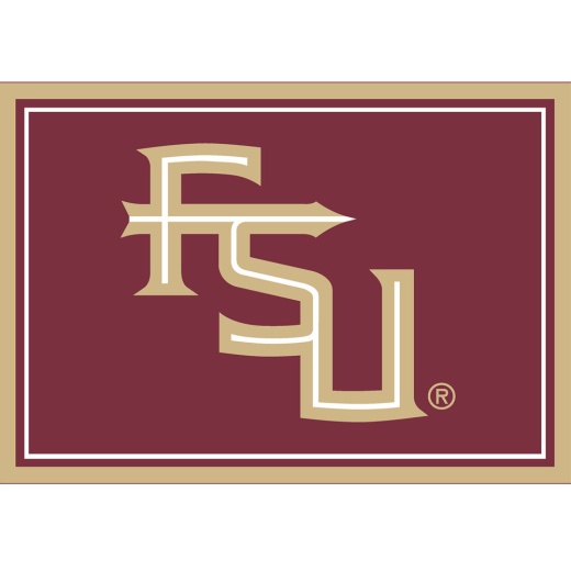 Florida State 3X4 Area Rug