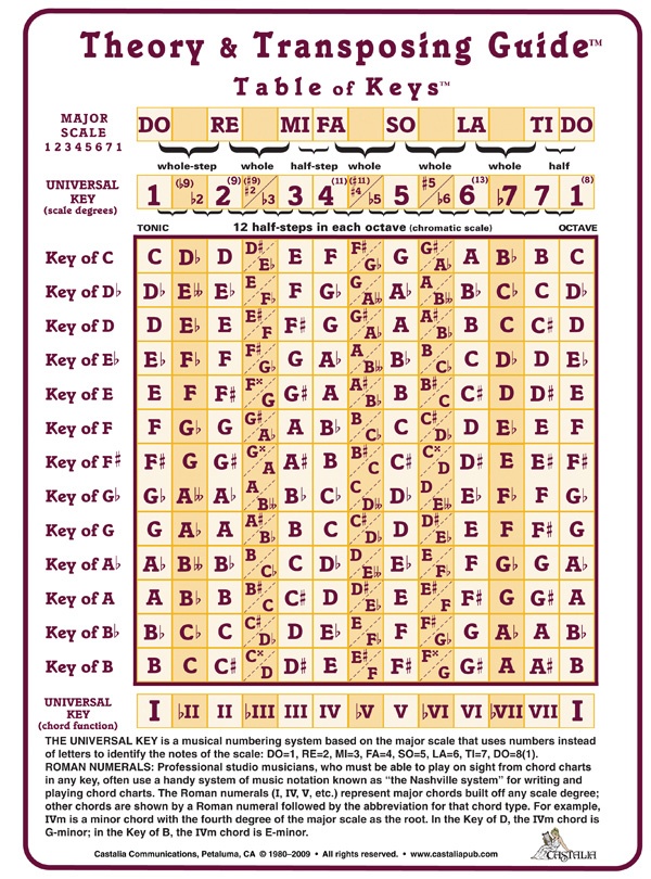 Buy Theory And Transposing Guide Laminated Cards Online - Music Theory ...