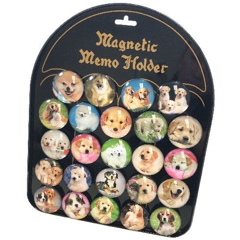 24 Pieces Round Dome Magnets Dogs With Display Board - Refrigerator Magnets