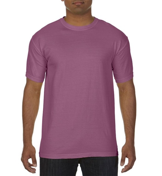24 Pieces Men's Berry Short Sleeve T-Shirts, Size Medium - Mens T-Shirts