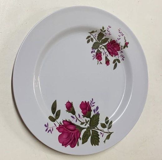 120 Pieces 10 Inch Flat Plate - Plastic Bowls And Plates