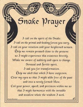 Snake Prayer Poster