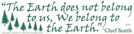 The Earth Does Not Belong To Us Inspirational Quote Print