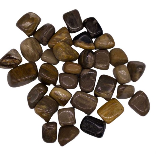 1 Lb Petrified Wood Tumbled Stones - Grounding, Protecting, and Perfect for Meditation