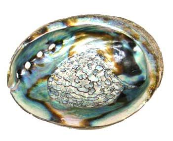 3-4" Abalone Shell Incense Burner