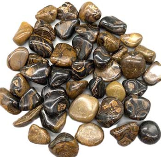 1 Lb Stromatolite (Onyx Brown) Tumbled Stones