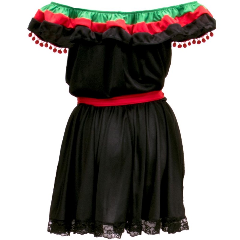 Flamenco Adult Costume, l