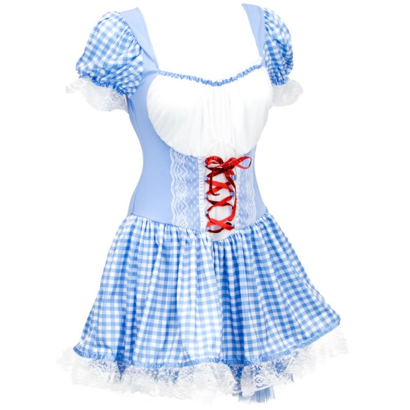 Dorothy Adult Costume, m