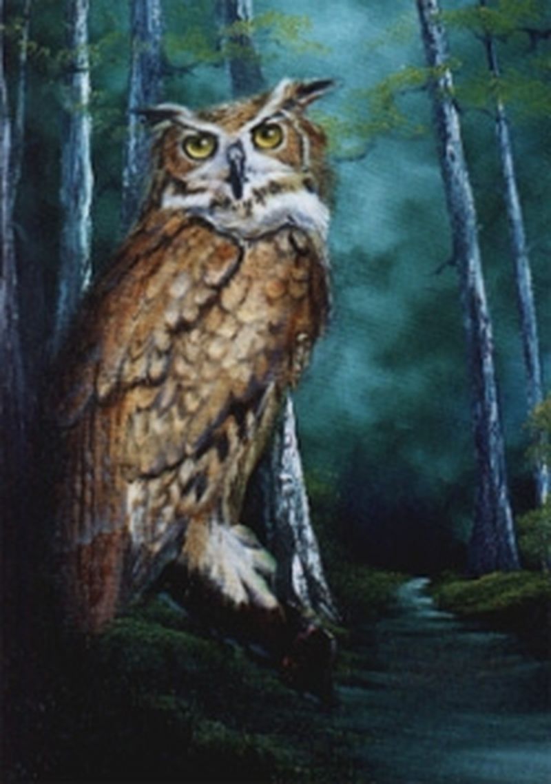 Bob Ross Midnight Owl