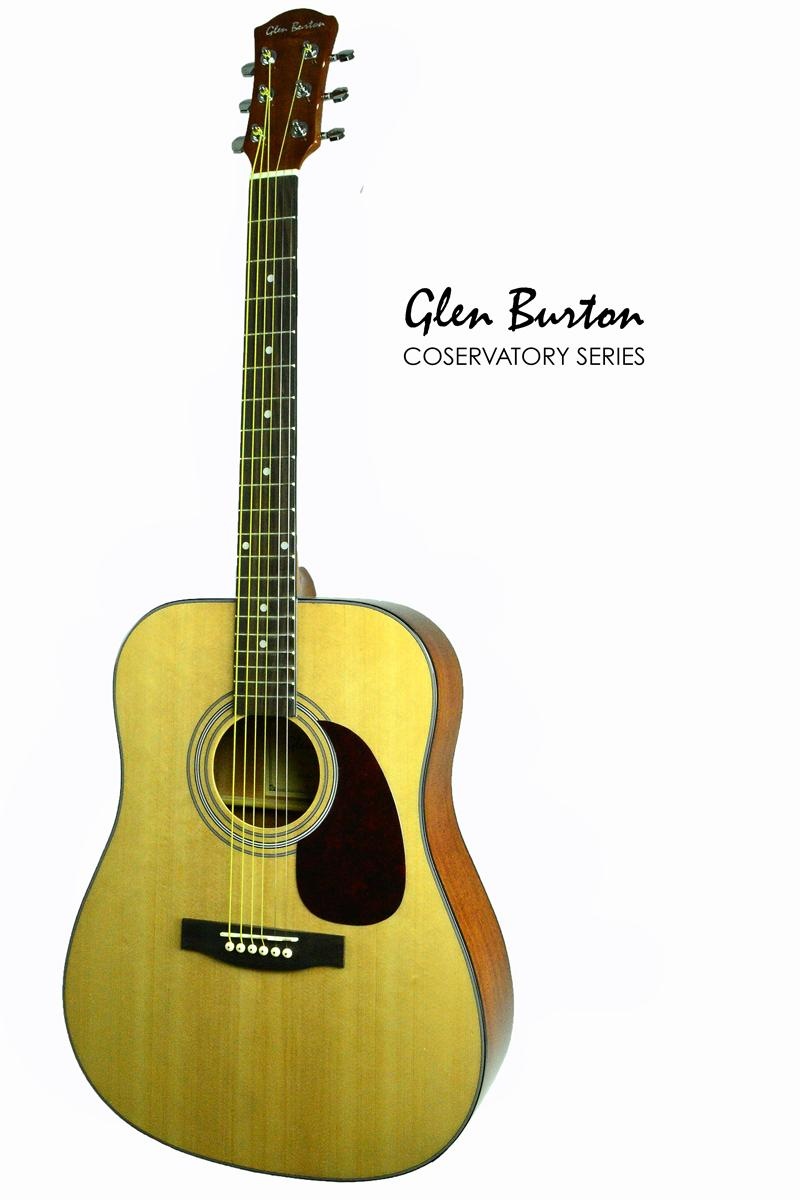 Glen Burton Conservatory Dreadnought Acoustic Guitar