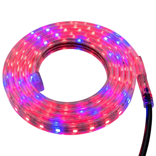 High Output 120 Volt Led Strip Grow Light - SMD 5050 for Indoor Plant Growth