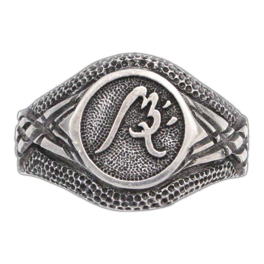 Impact Ward Ring - Unleash the Power of The Demon Cycle
