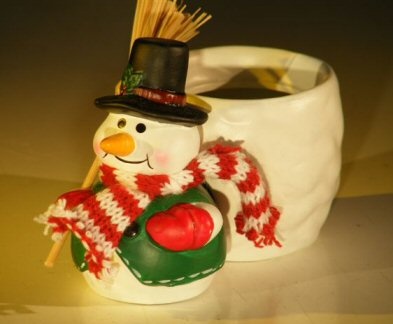 Norfolk Island Pine Bonsai Tree Snowman Pot