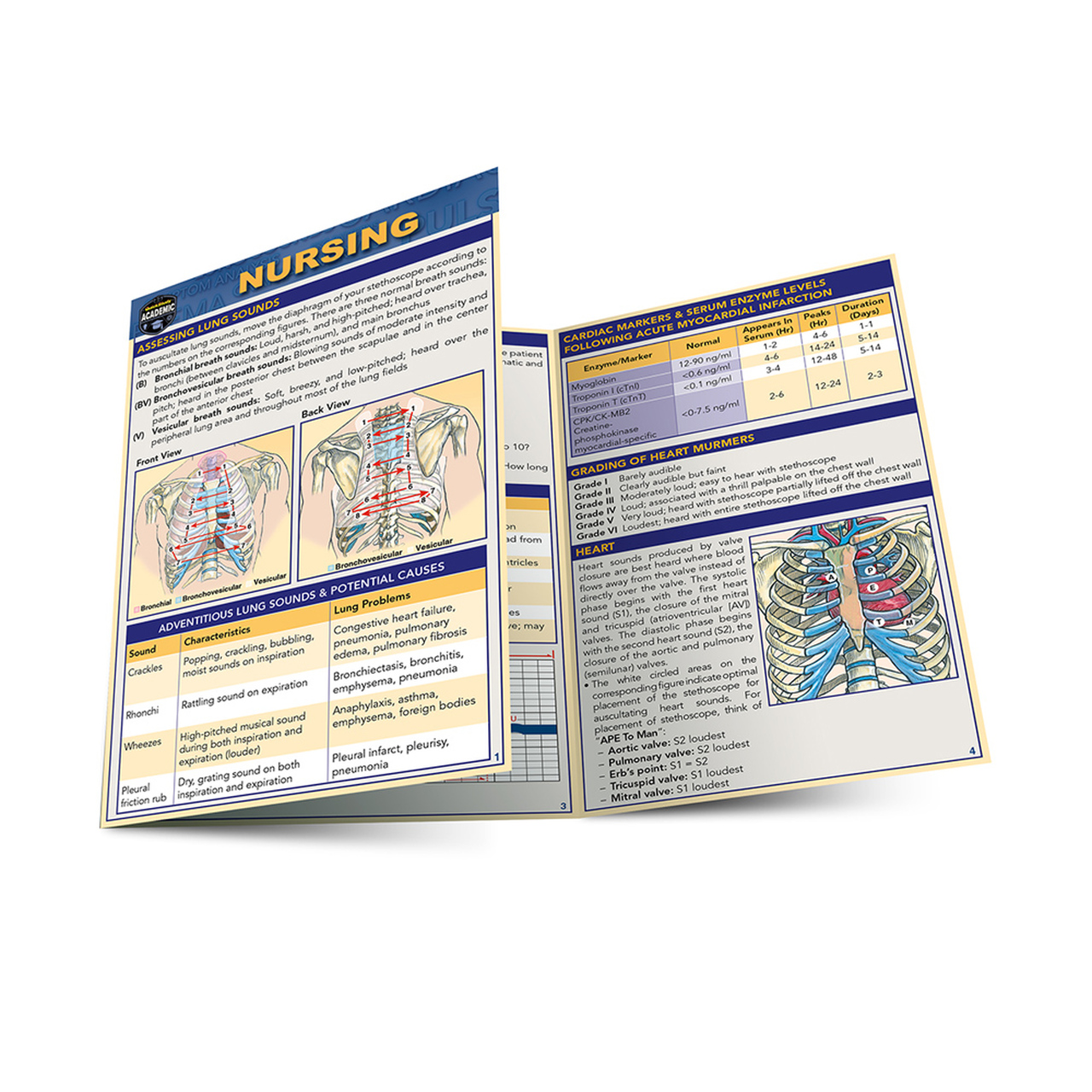  Nursing Quick Study Guides Laminated