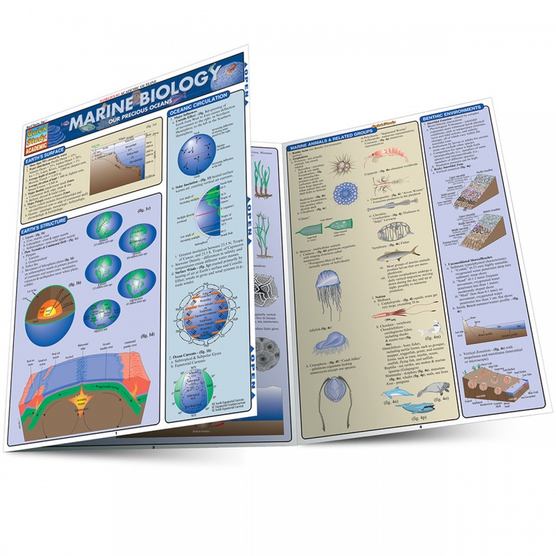 Quickstudy Marine Biology Laminated Study Guide