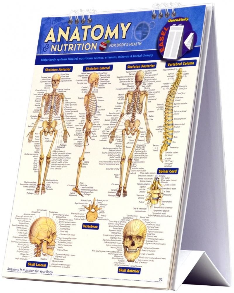 Anatomy & Nutrition (Quickstudy Easel)