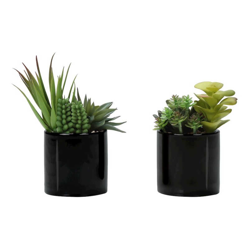 7" Tall Artificial Succulent Plant Set of 2