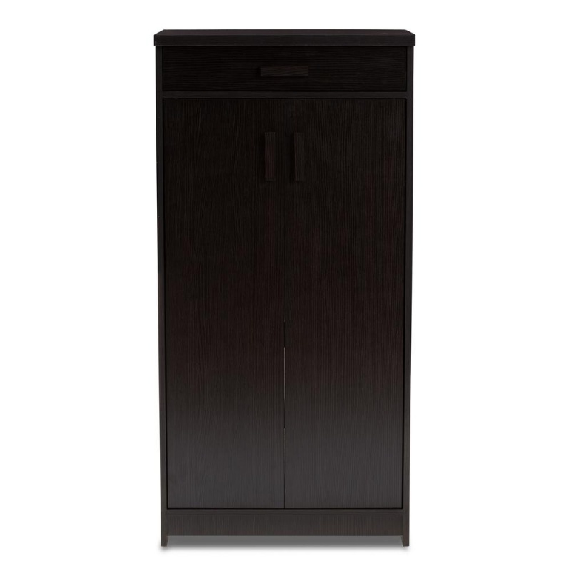 Bienna Modern And Contemporary Wenge Brown Finished Shoe Cabinet
