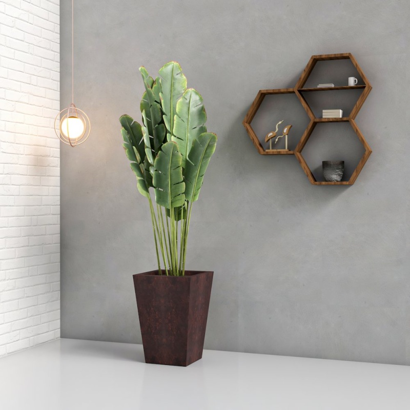 Product thumbnail 3