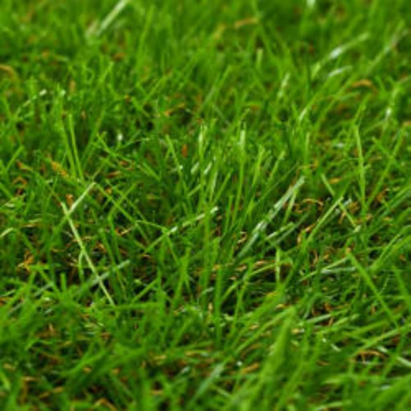 Vidaxl Artificial Grass 3.3'X49.2'/0.2" Green 8832