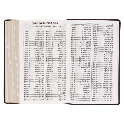 KJV Bible Giant Print Standard-Size Faux Leather, Purple Floral