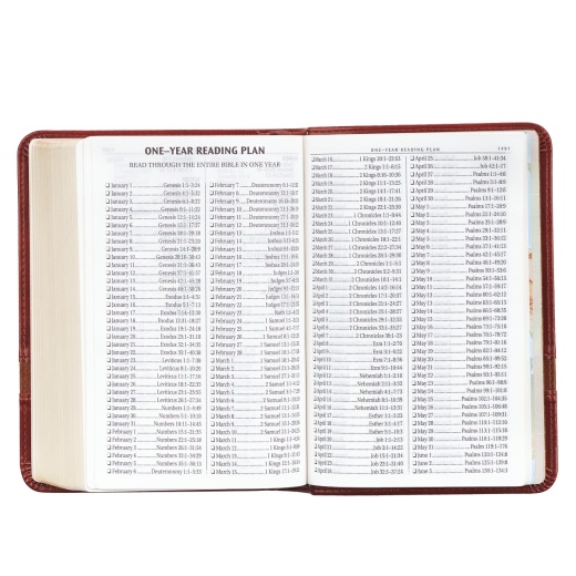 KJV Bible Compact LP Faux Leather, Brown Two-Tone