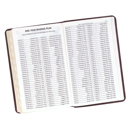 Kjv Bible Giant Print Standard-Size Faux Leather, Dark Brown
