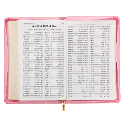 Kjv Bible Deluxe Gift Faux Leather, Pink Floral W/Zipper