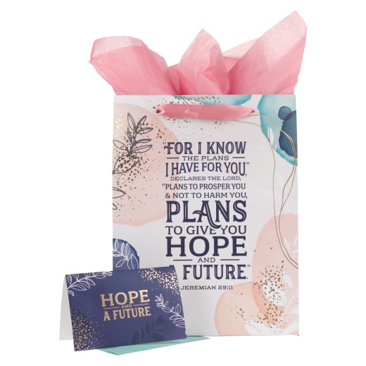 I Know the Plans Large Portrait Gift Bag with Card Set
