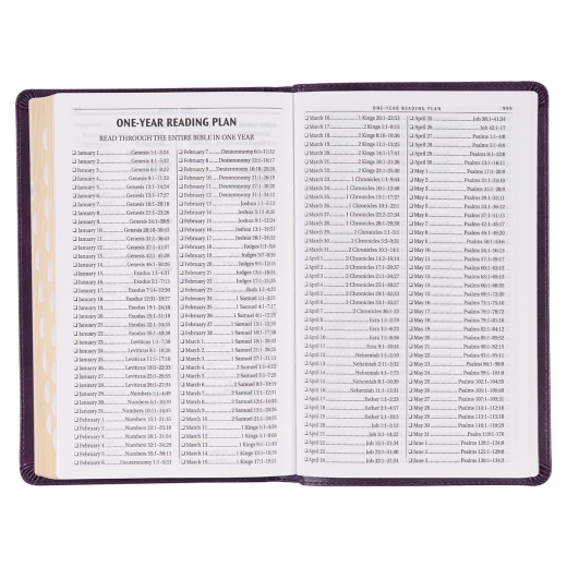 KJV Bible Deluxe Gift Faux Leather, Purple