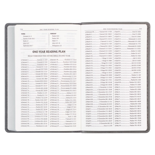 KJV Bible Gift Edition Faux Leather, Gray