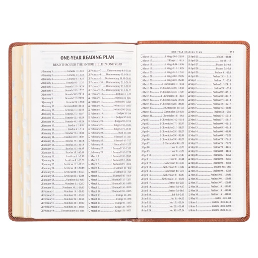 Kjv Bible Deluxe Gift Faux Leather, Tan Cross