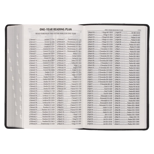 KJV Bible Giant Print Standard-Size Faux Leather, Black/Gray
