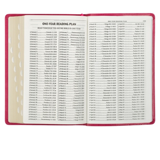 Kjv Bible Deluxe Gift Faux Leather Pink