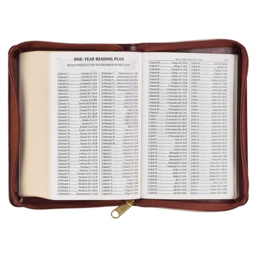 KJV Bible Compact LP Faux Leather, Burgundy W/Zipper