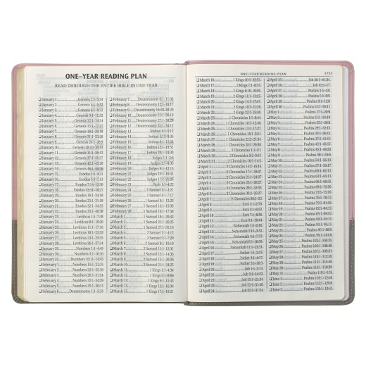 Kjv Bible Super Giant Print Faux Leather, Pink/Gray