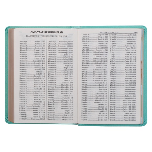 Kjv Bible Compact Lp Faux Leather, Robin’S-Egg Blue