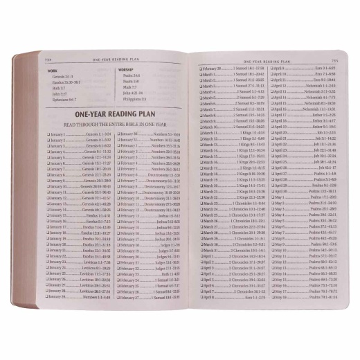 Kjv Bible Gift & Award Faux Leather, Tan