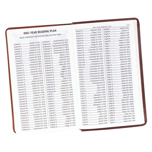 Kjv Bible Giant Print Standard-Size Faux Leather, Brown Two-Tone