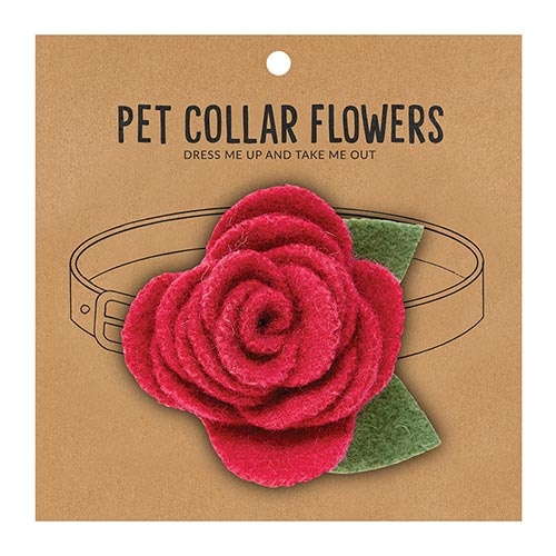 Small Pet Collar Flower - Raspberry