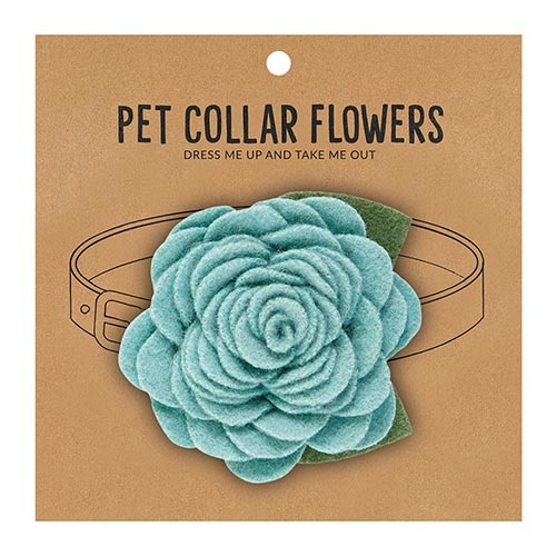 Large Pet Collar Flower - Aqua